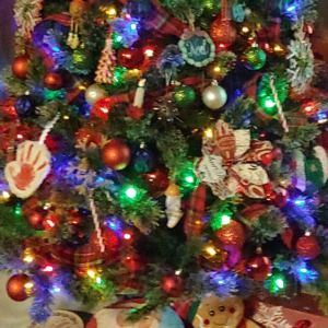 Meet your Posher, Audrey